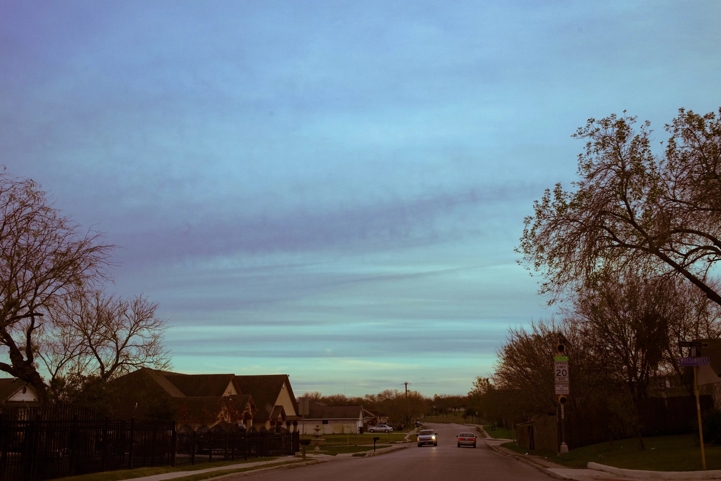 _MG_9555.jpg