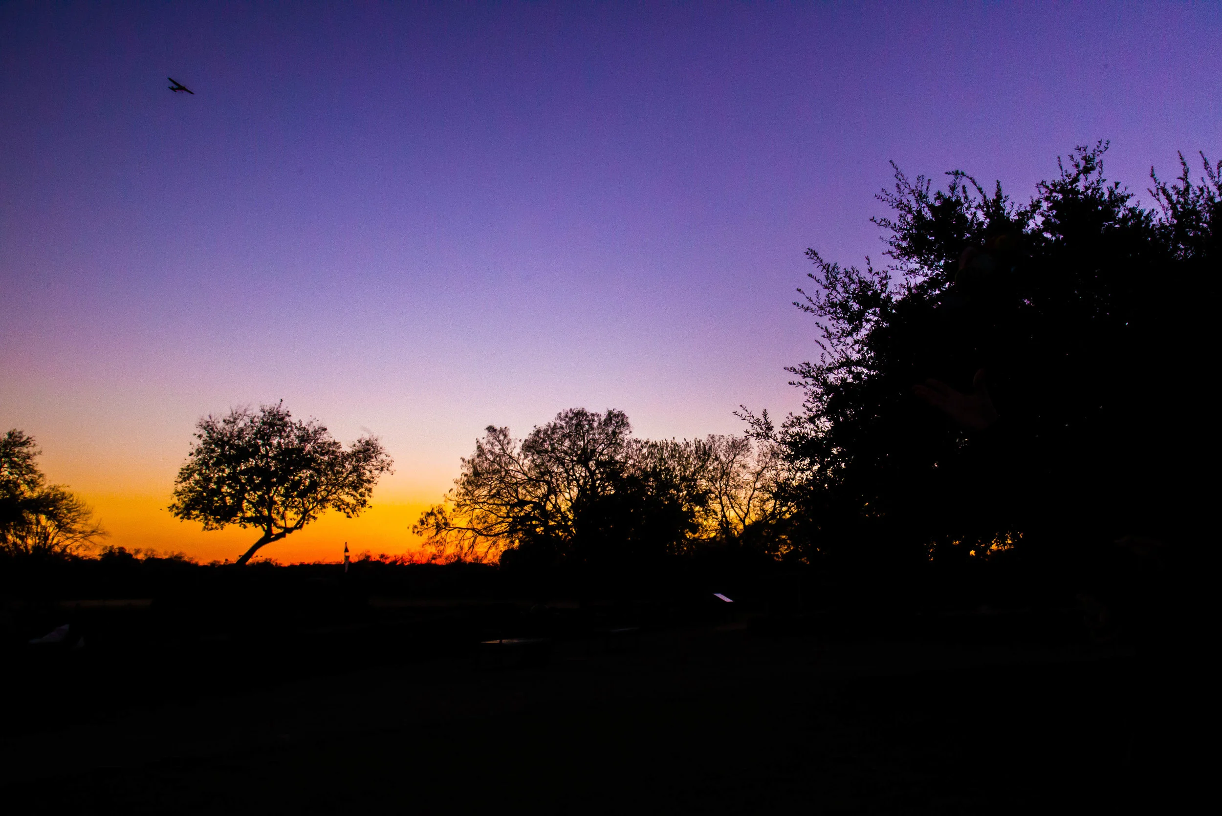 _MG_7217.jpg