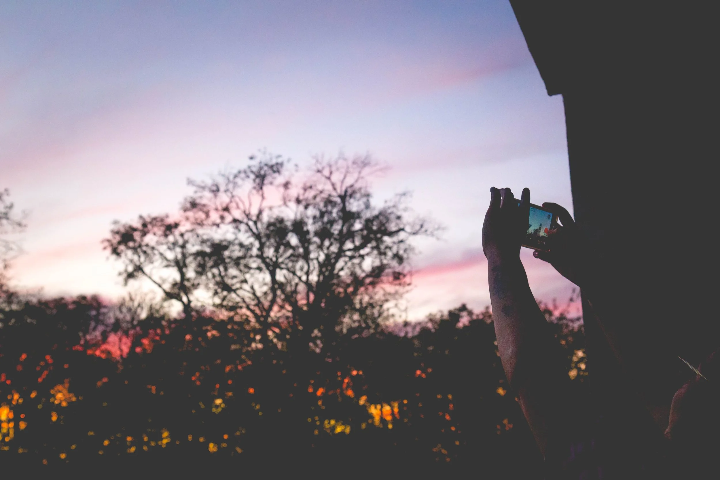 pinksunset12121-3.jpg