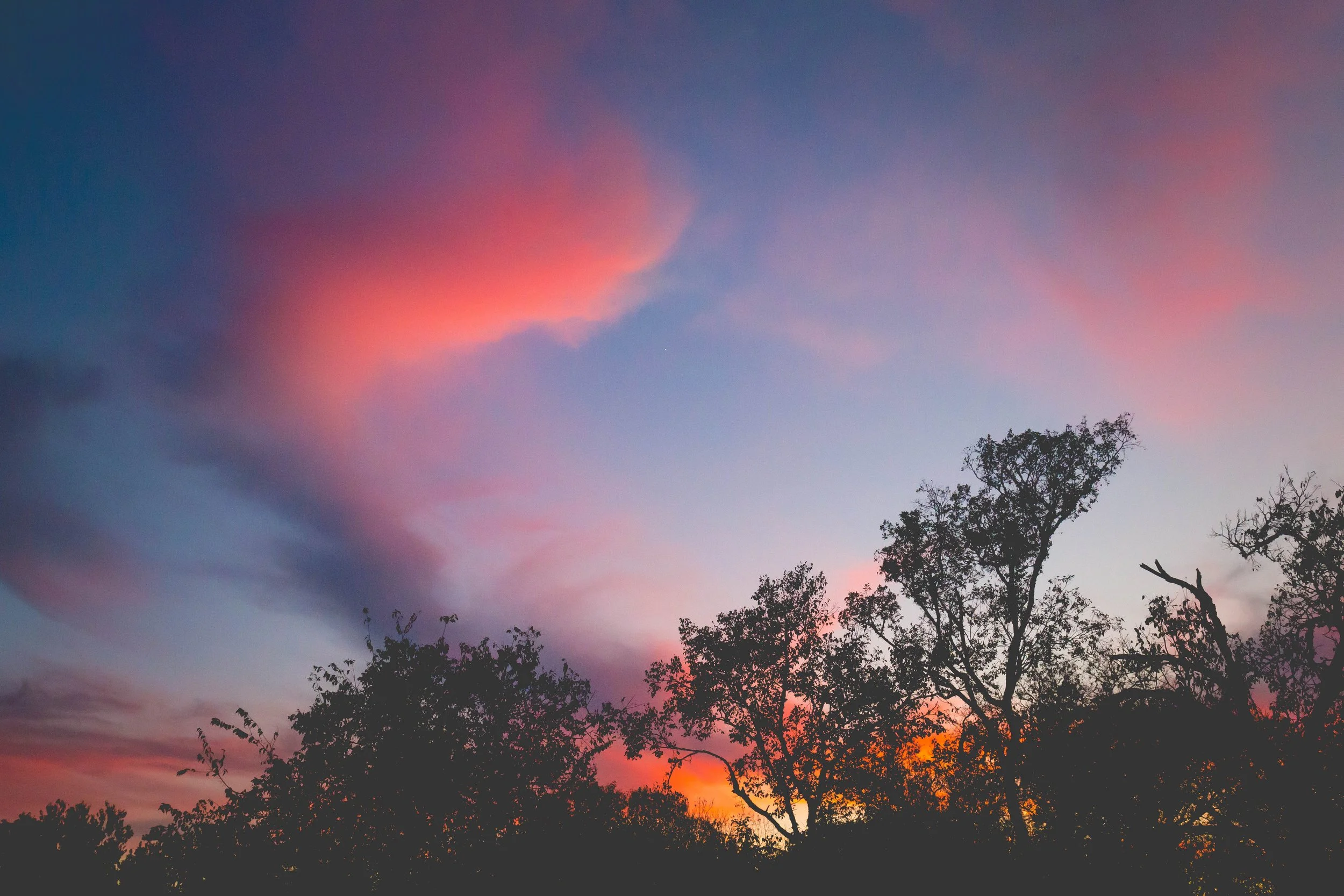 pinksunset12121.jpg