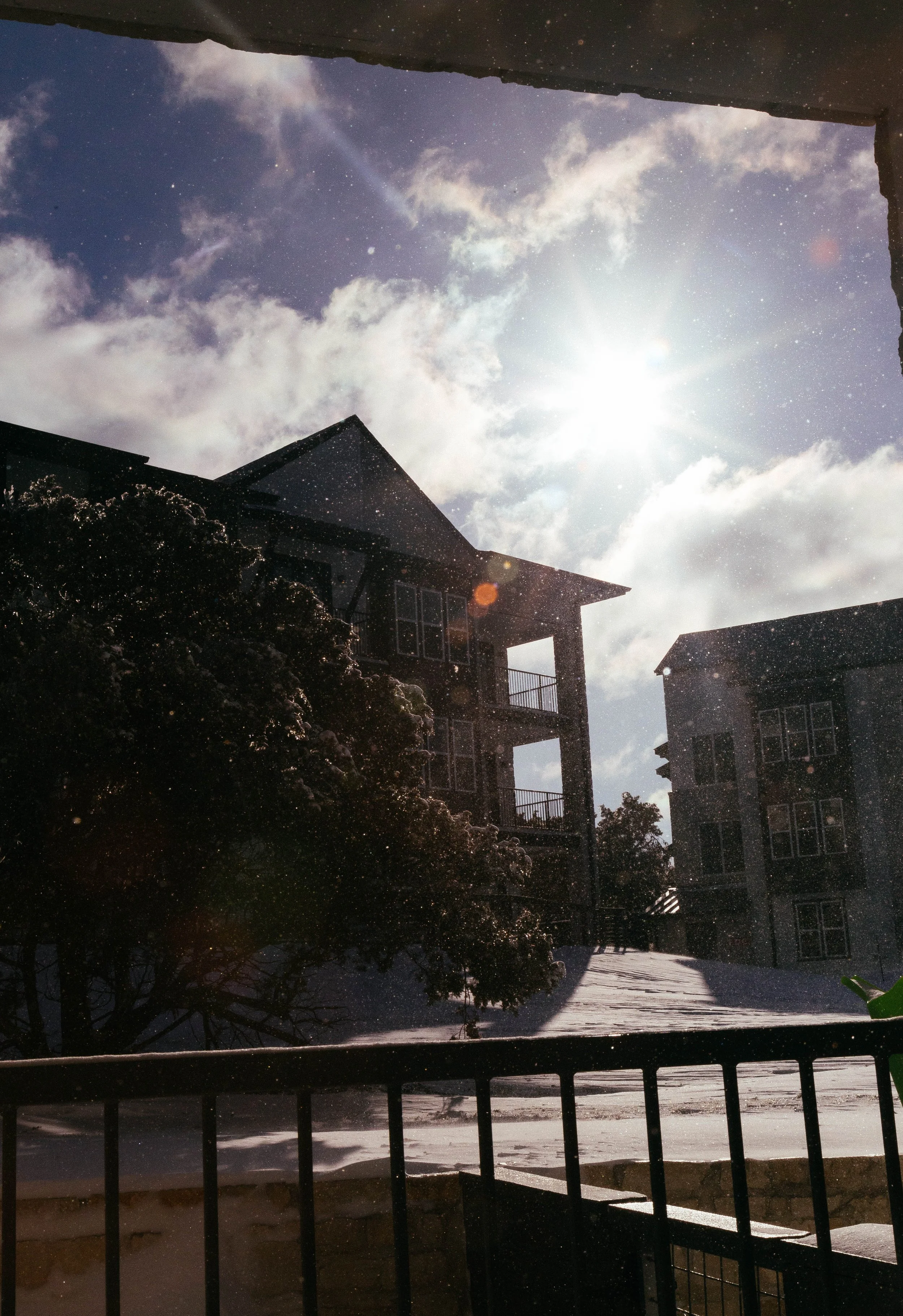 snow2021FEB-11.jpg