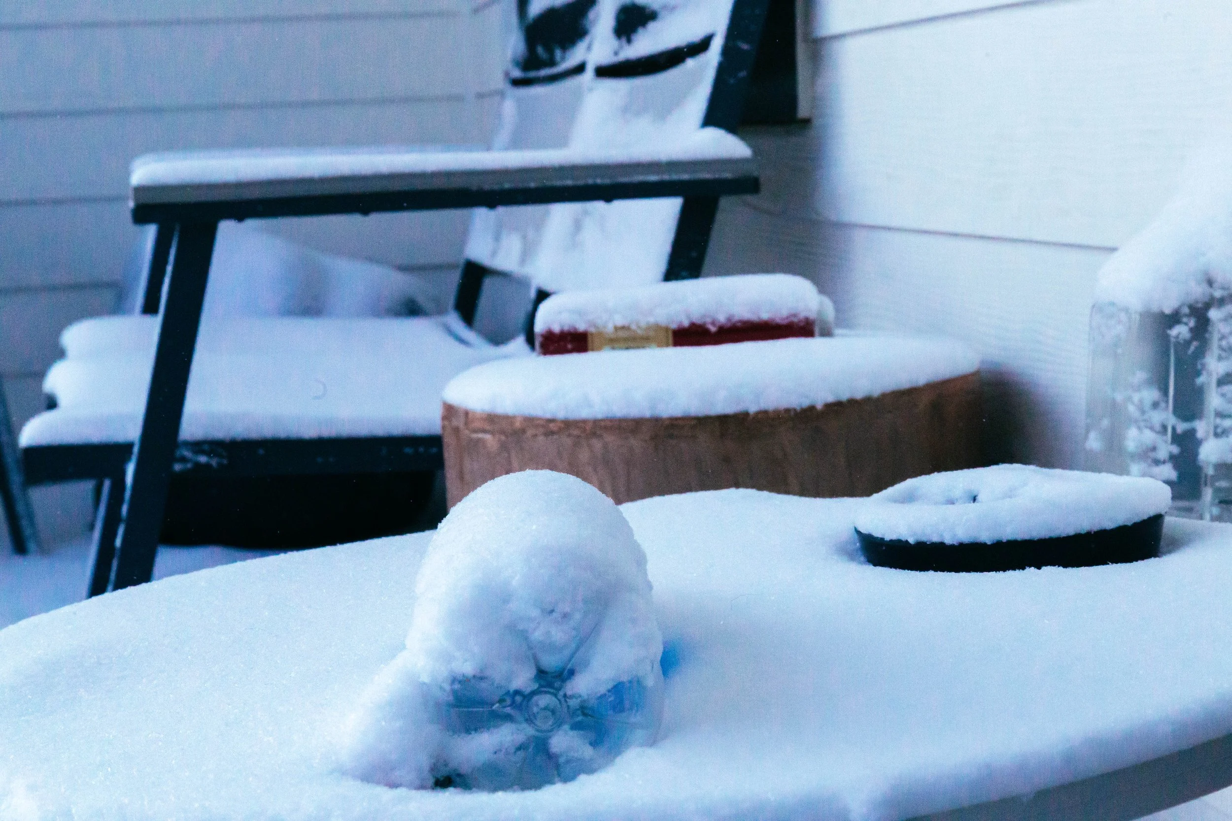 snow2021FEB-10.jpg