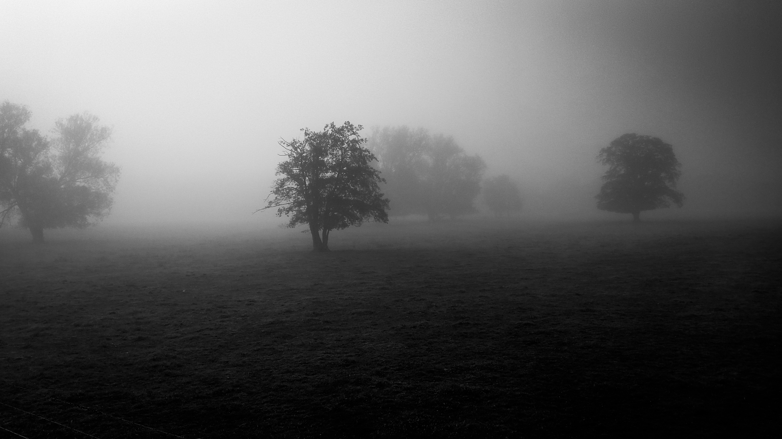 Pure morning