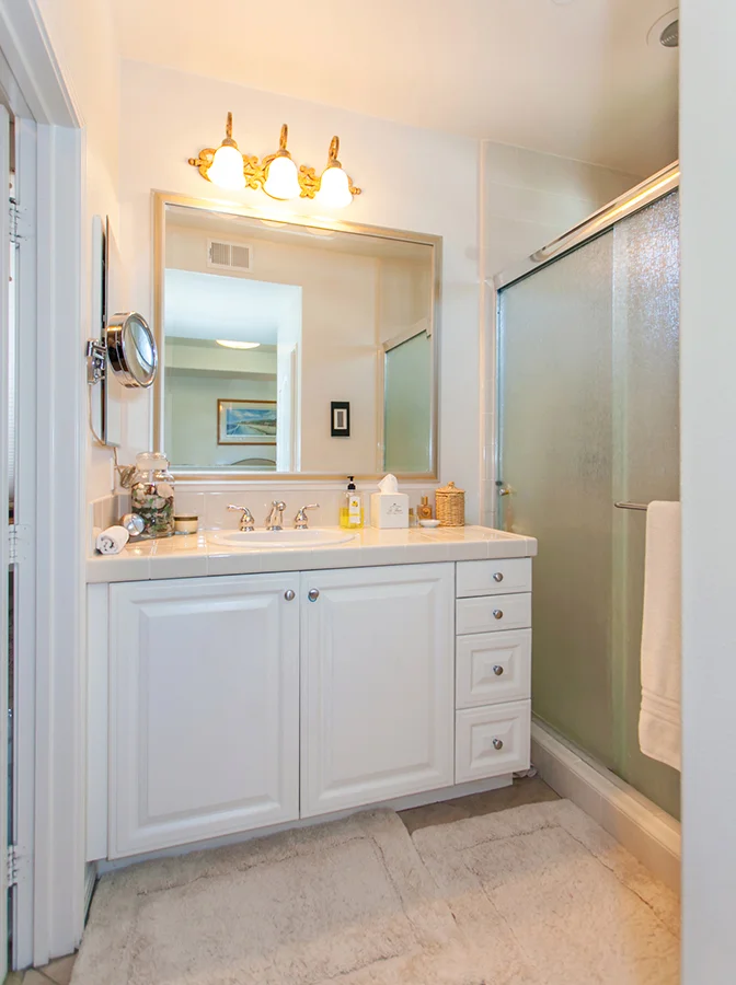 Master Bathroom with Walk-in closet to the left