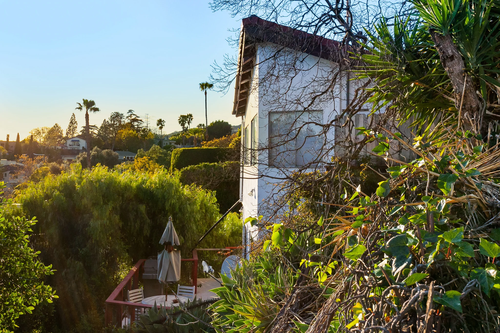 6234HollyMont-36.jpg