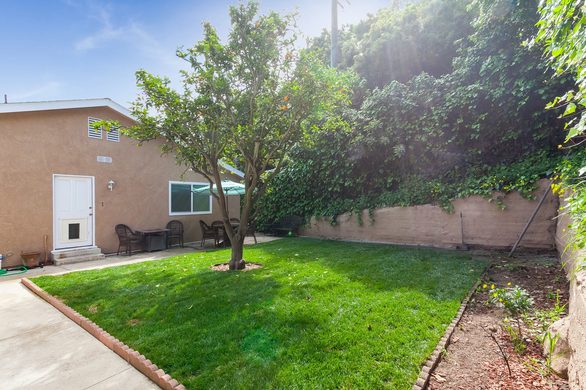 backyard 2