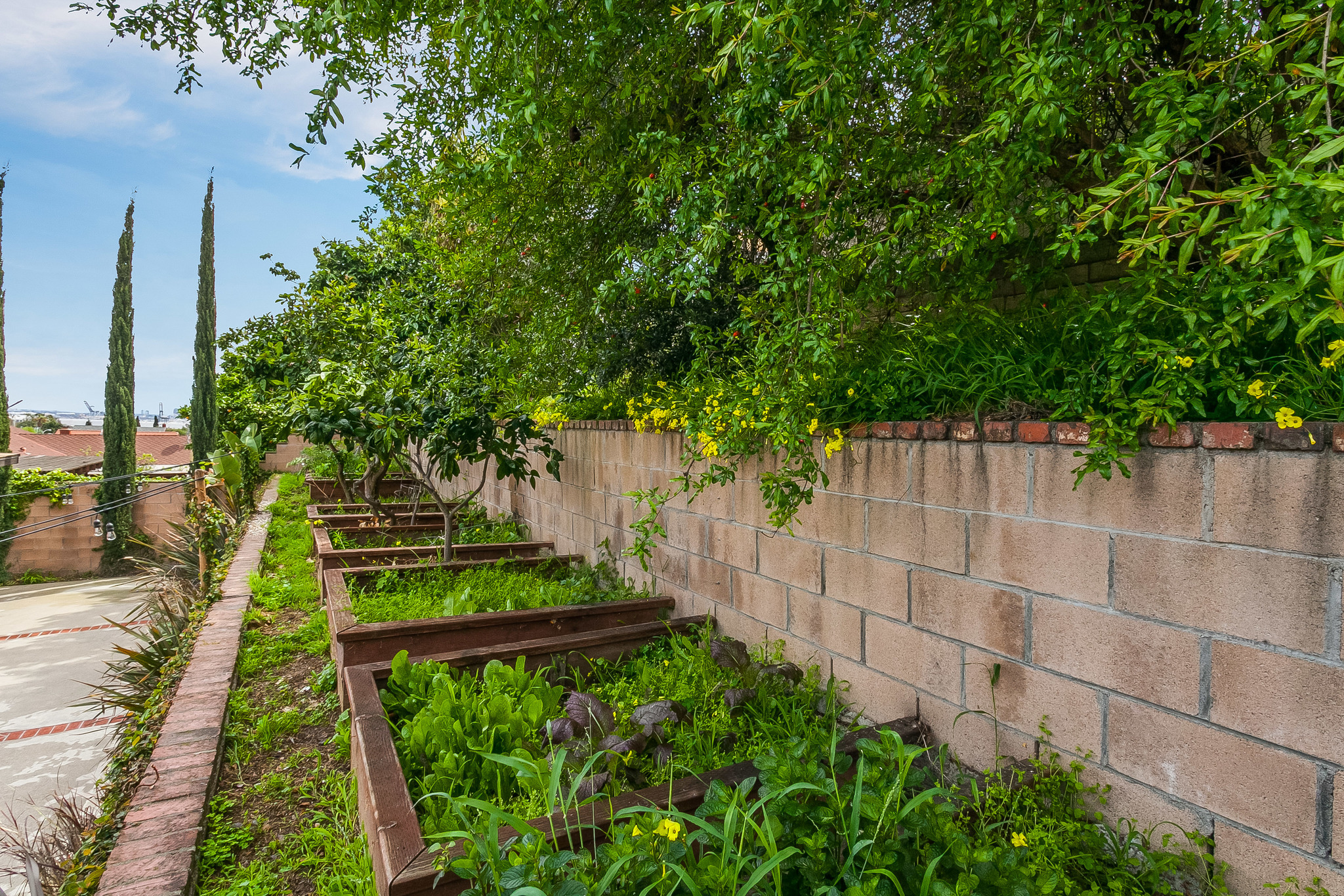 raised garden beds