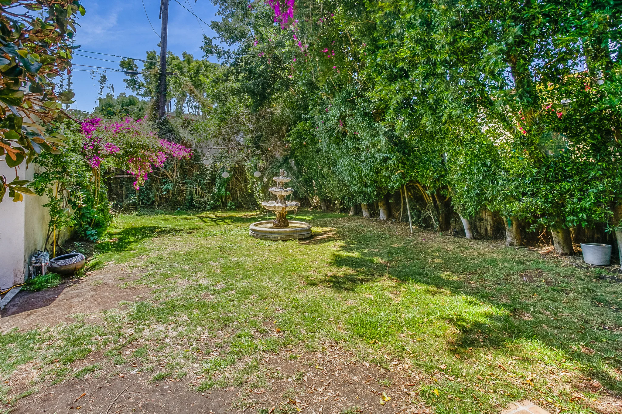 backyard