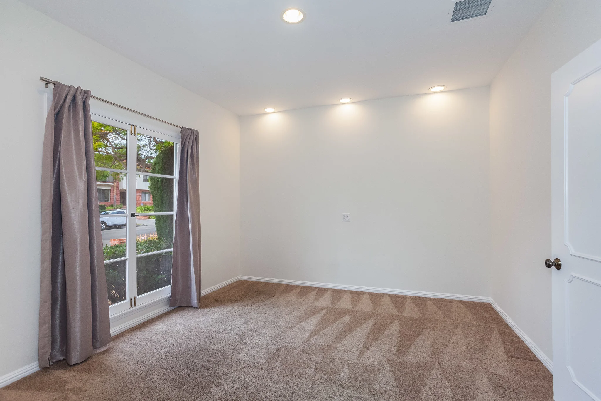 212Palm-25a.jpg