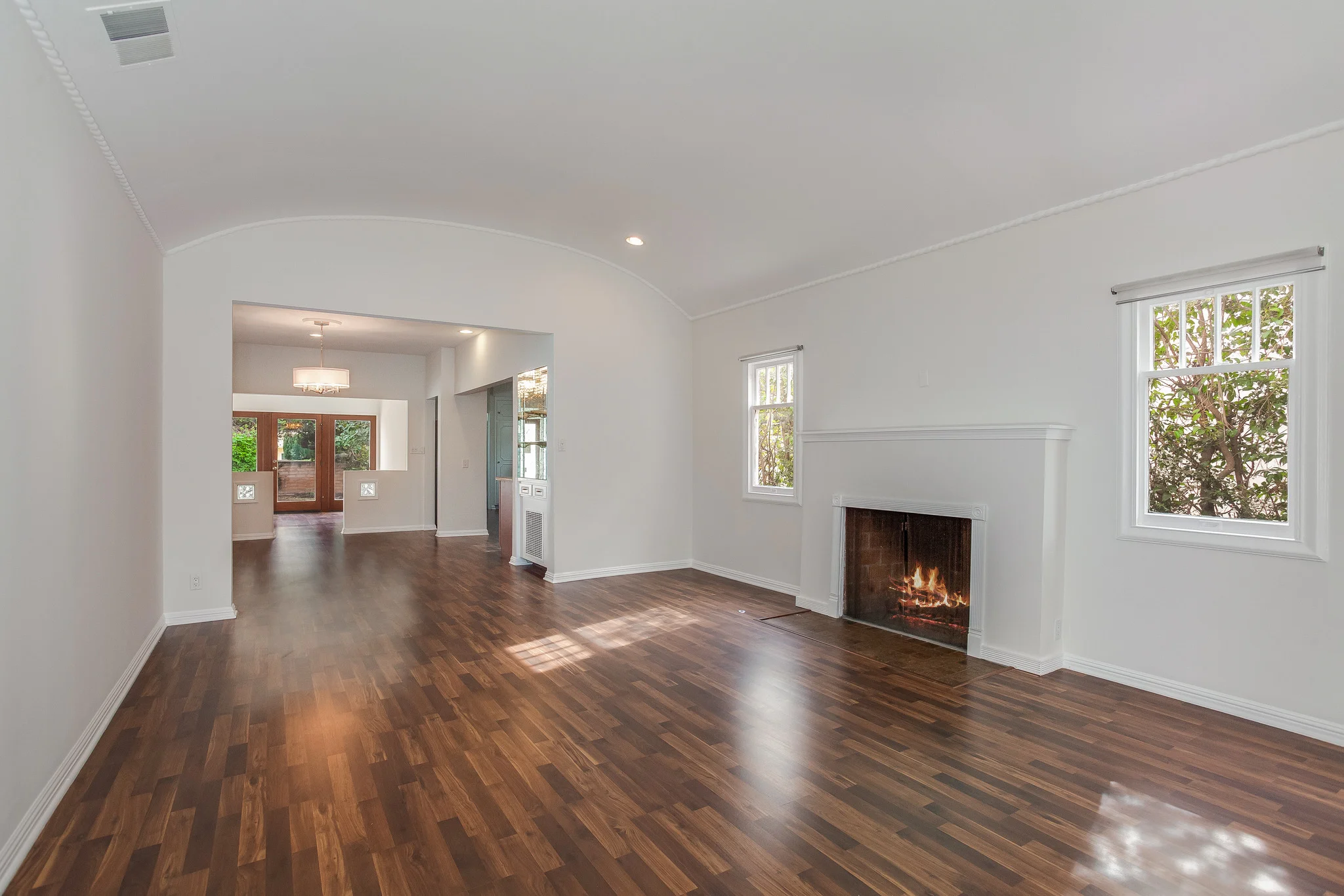 212Palm-27a.jpg