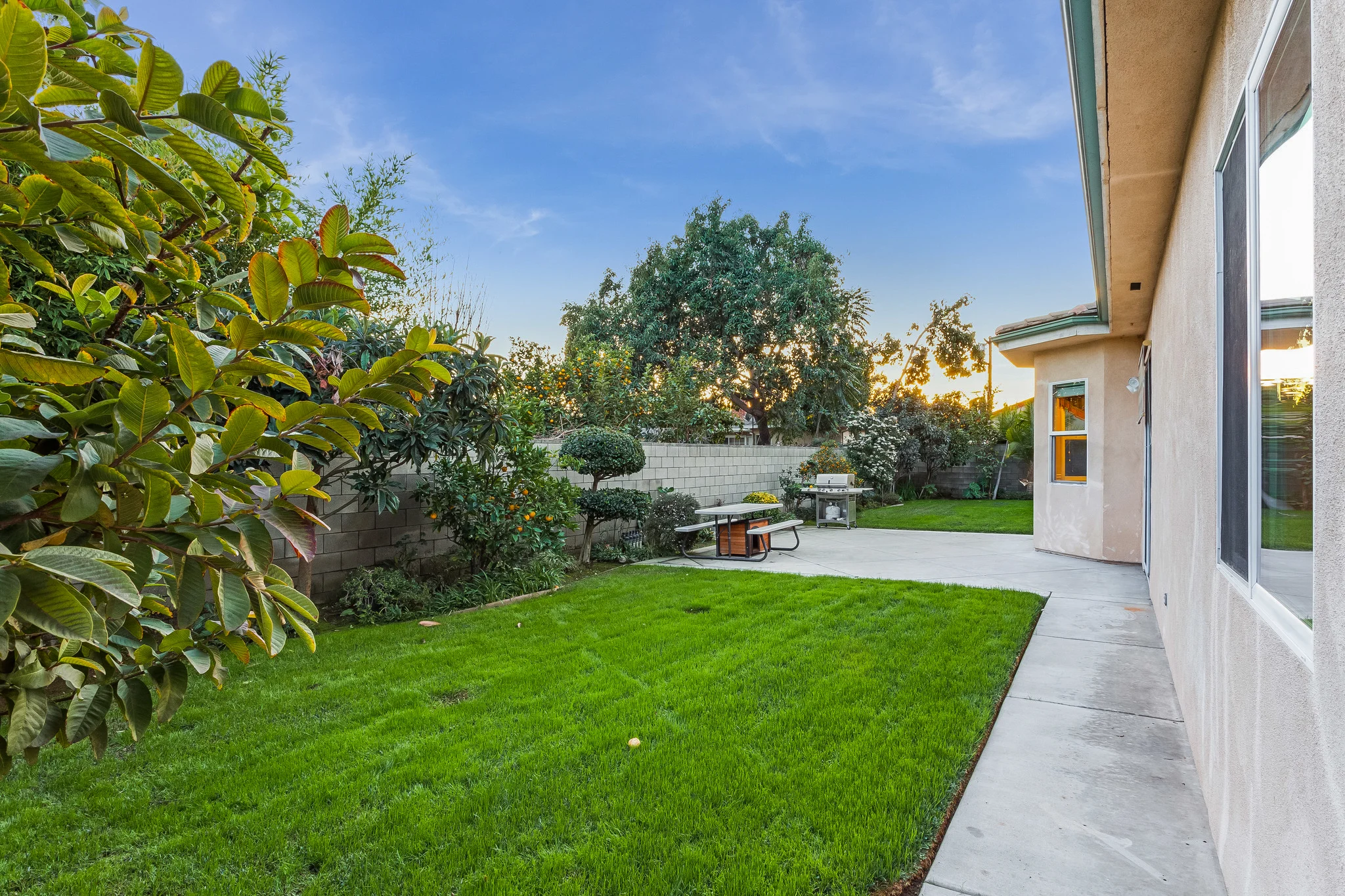 10412LiveOak-47d.jpg
