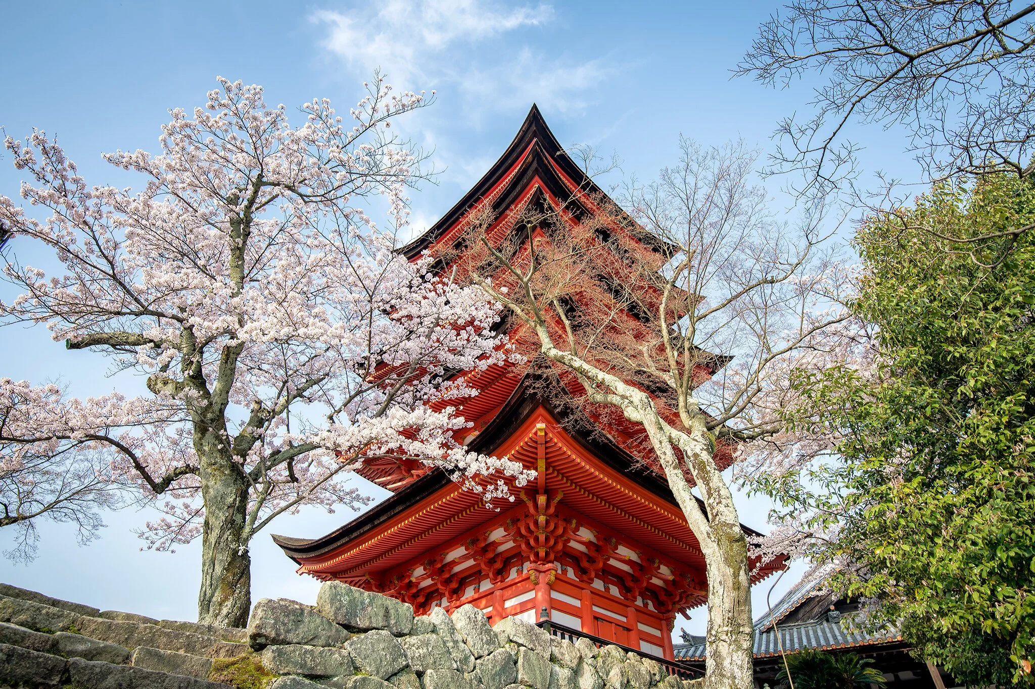 Kingsley-J-Burton-Photography-20180401_Miyajima_026.jpg