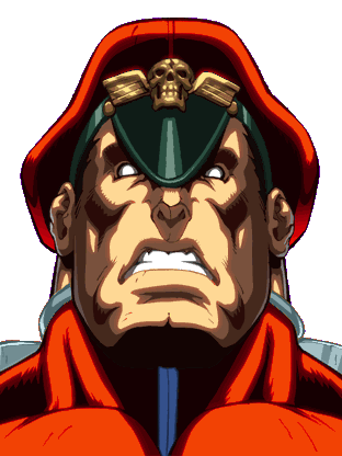 Bison