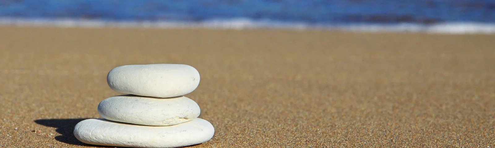 BF-meditatie-1600x480.jpg