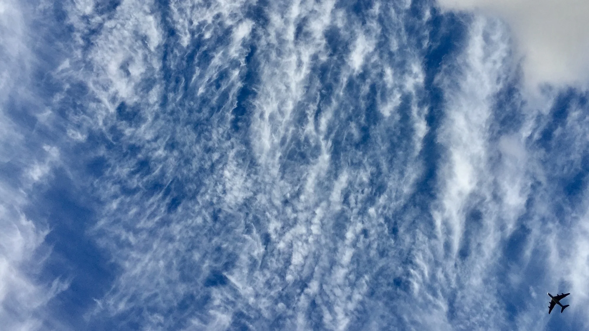 iPhone Pictures - 169.jpg