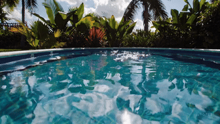 20250213_1717_Loop Video_loop_01jm10h2n0ezy8swennxazpptw.gif