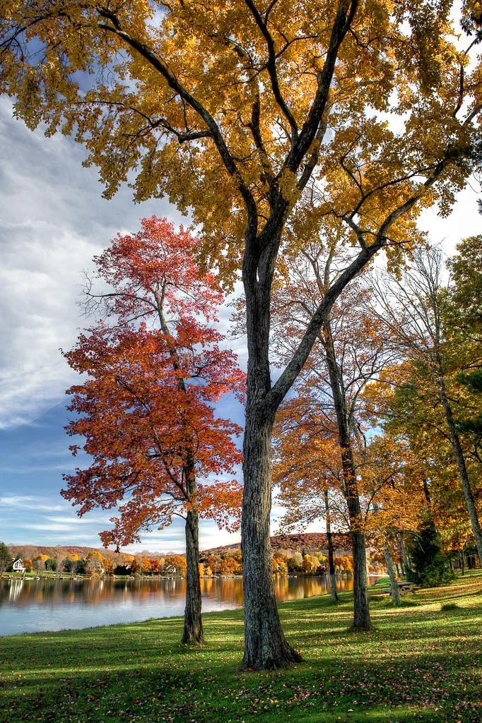 Lake
  Waramaug State Park, Kent, Connecticut