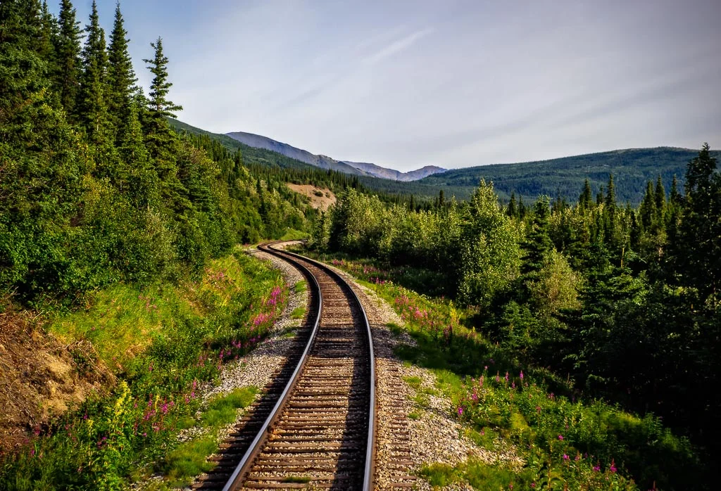 Alaskan Rail, Denali National Park, Alaska