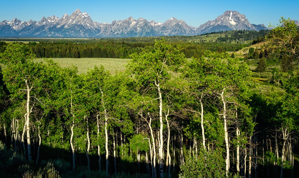 Buffalo Fork Ridge