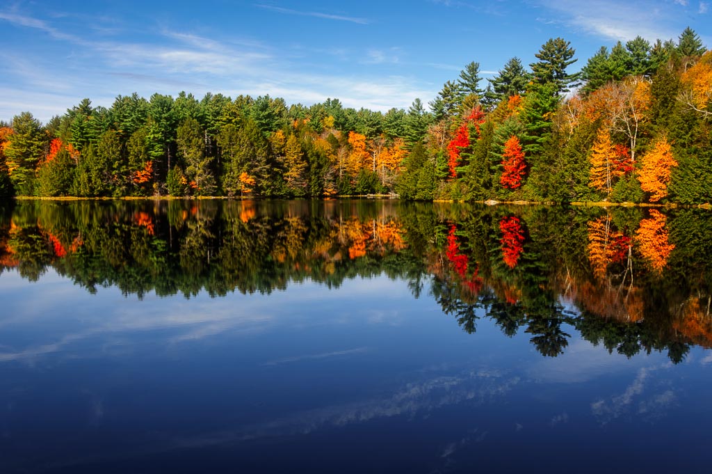 Fall Tranquility