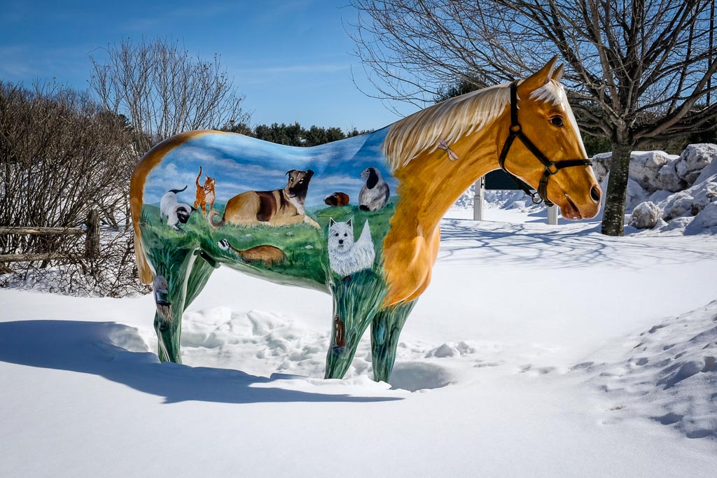 Painted Horse