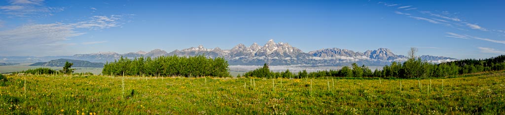 Shadow Mountain View