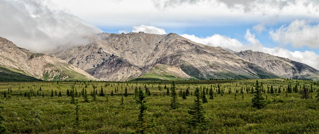 Denali Beauty