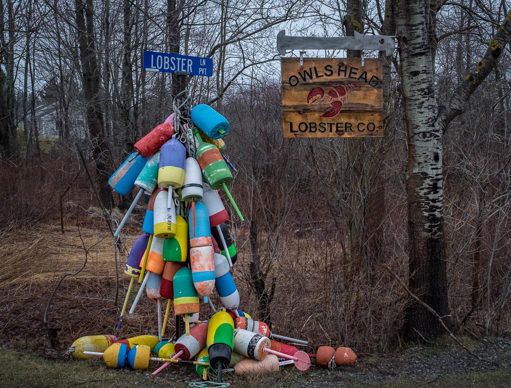 Lobster Lane