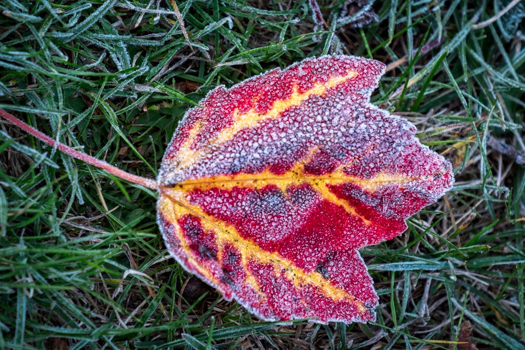 Winter is Coming