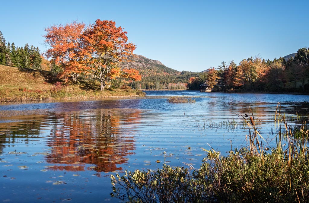 Little Long Pond