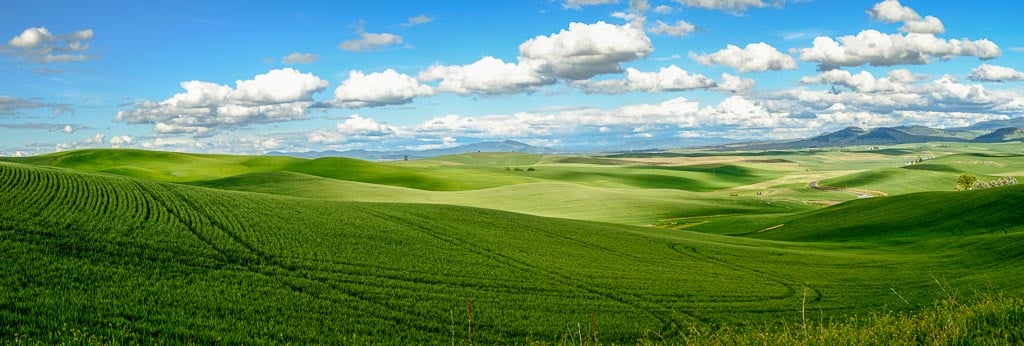 The Palouse