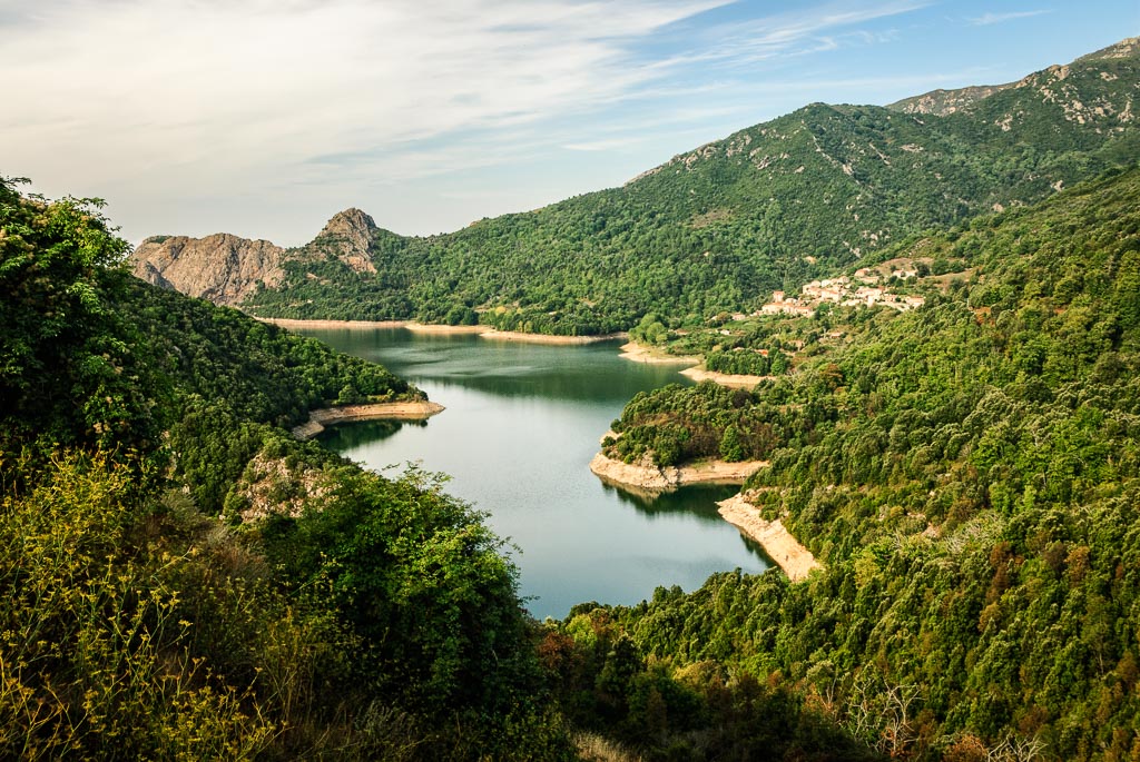 Corsican Beauty