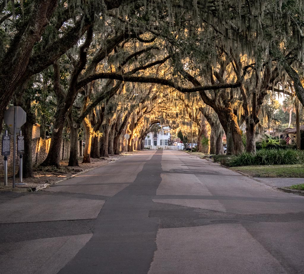 Oak Tunnel