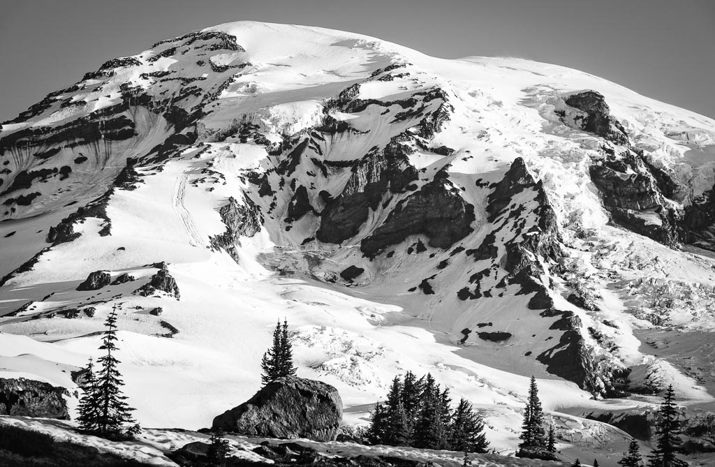 Skyline Trail View
