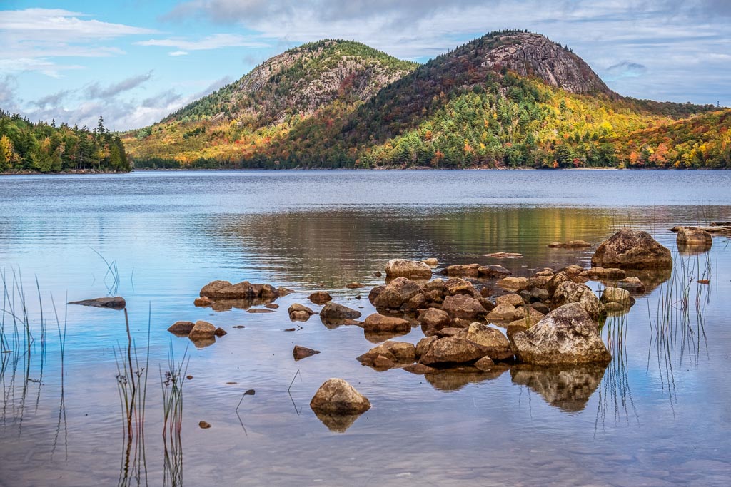 Fall Splendor
