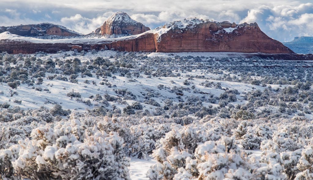 Desert Snow