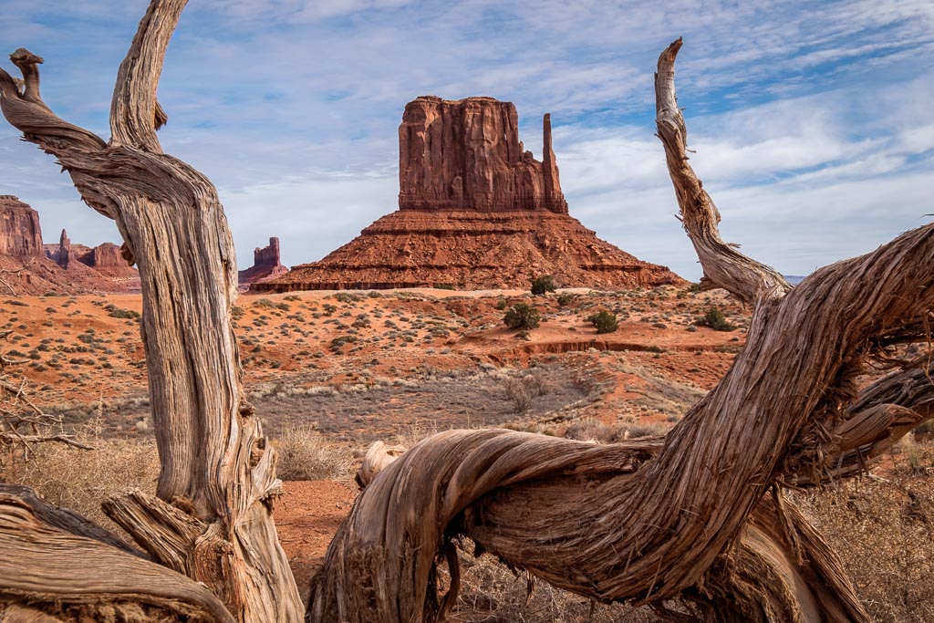 West Mitten