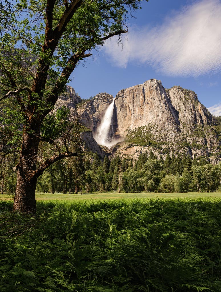 Yosemite Falls