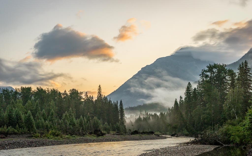 Glacier Fog