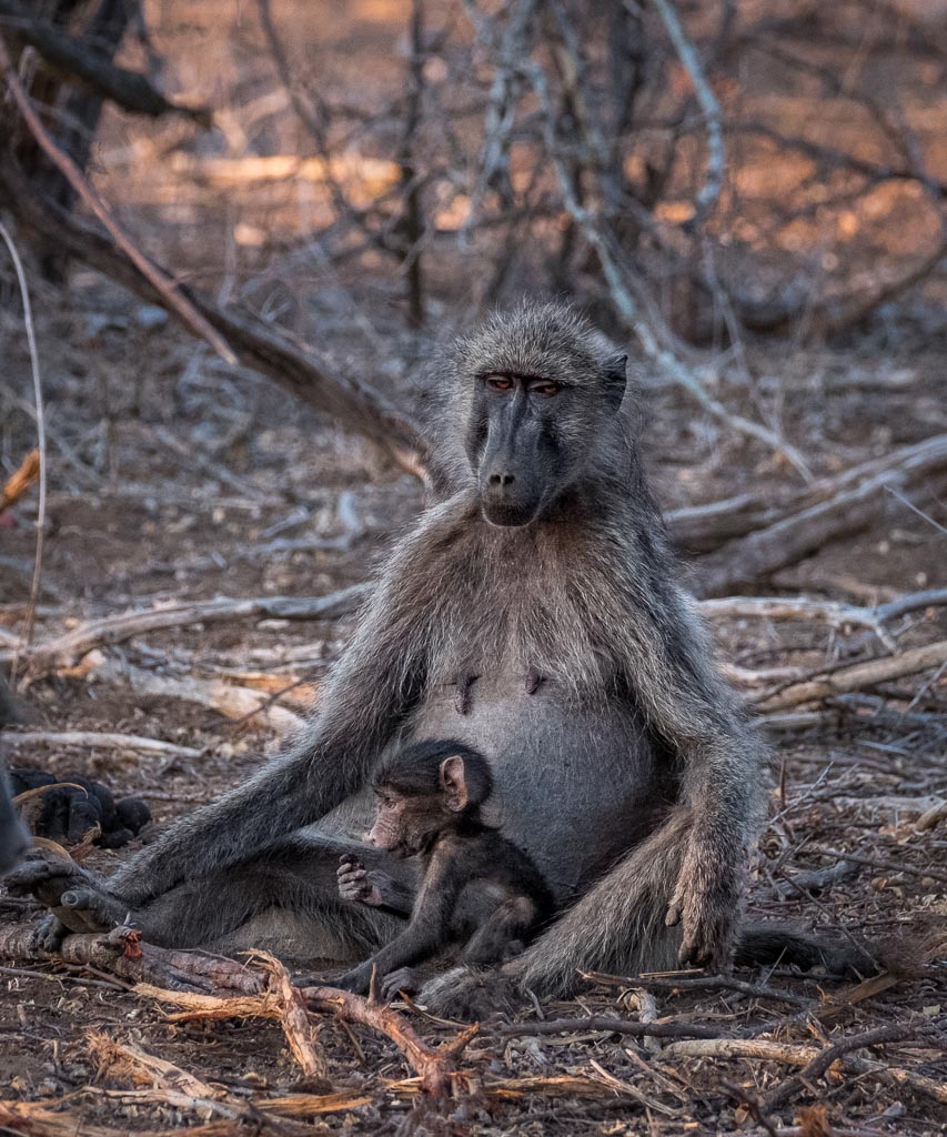 Mother and Child