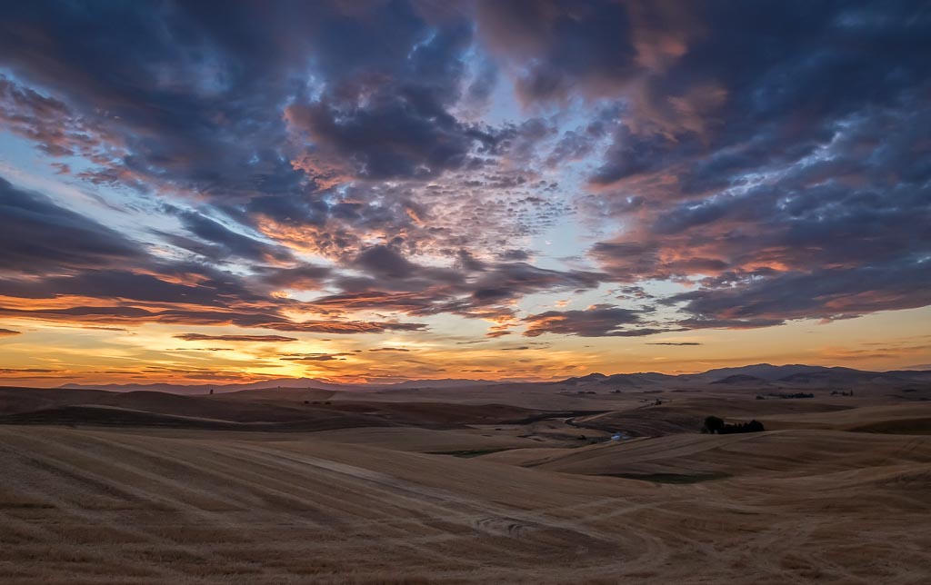 Before Sunrise