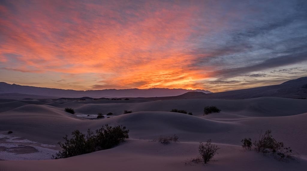 Desert Sky