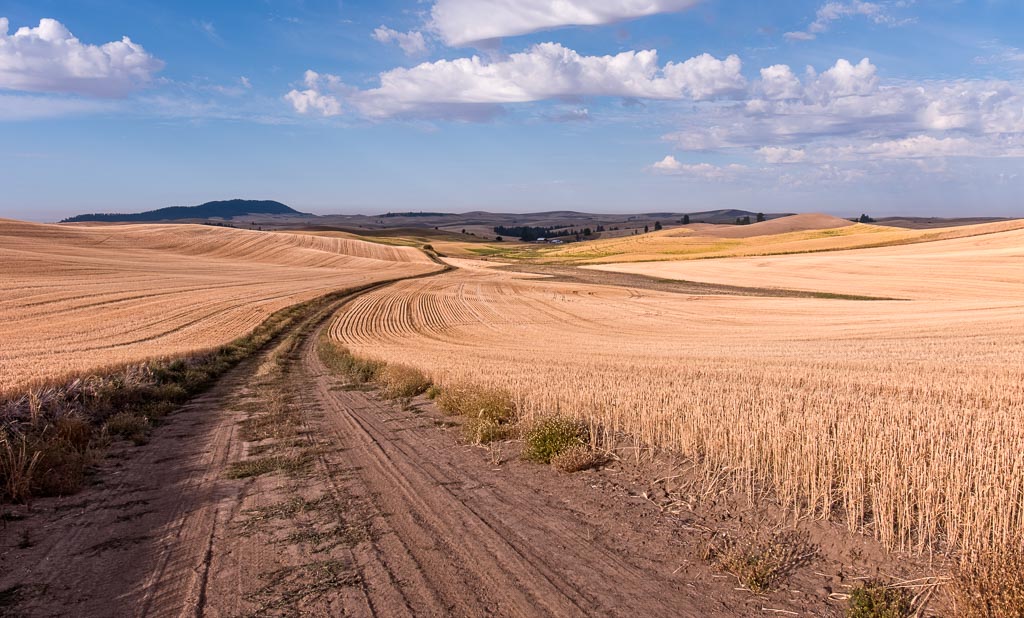 Palouse, Washington