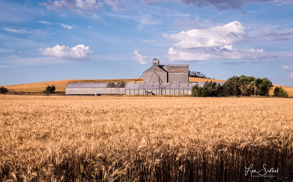 Harvest Time
