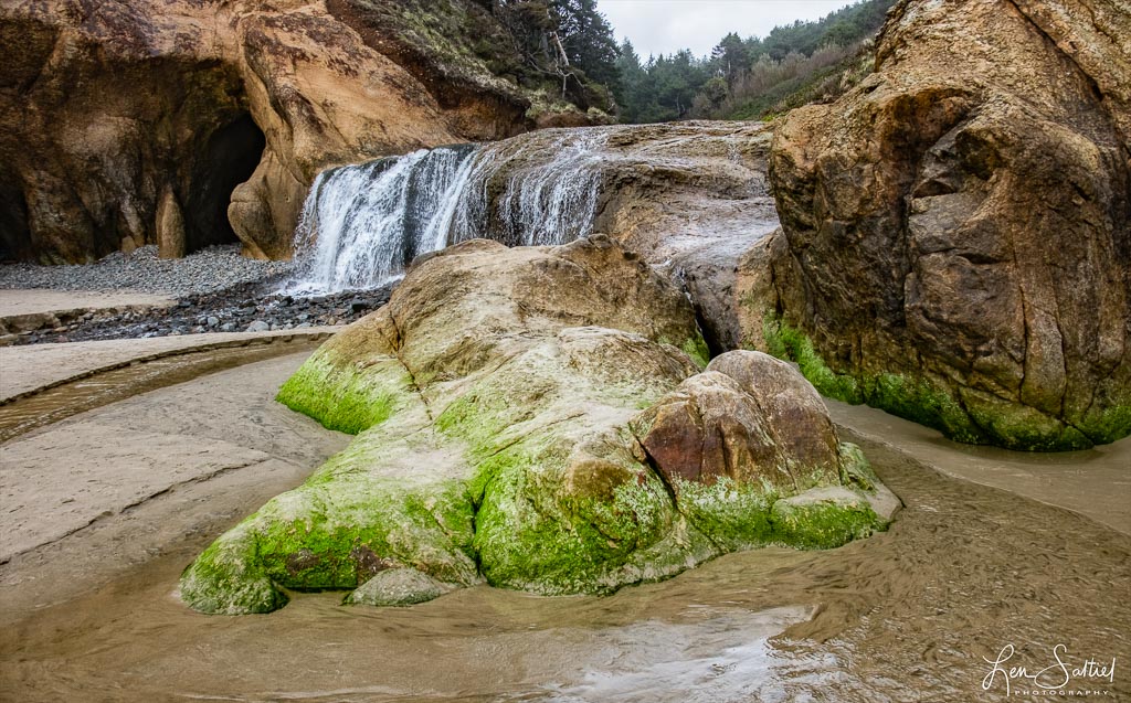 Algae and Waterfall