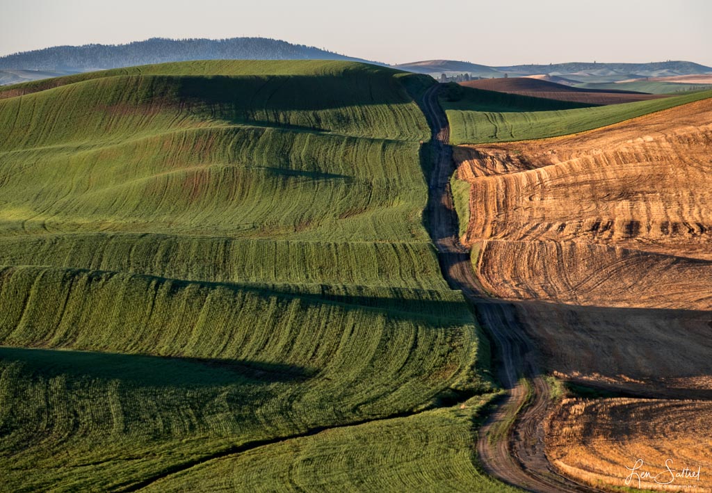 Palouse Backroads