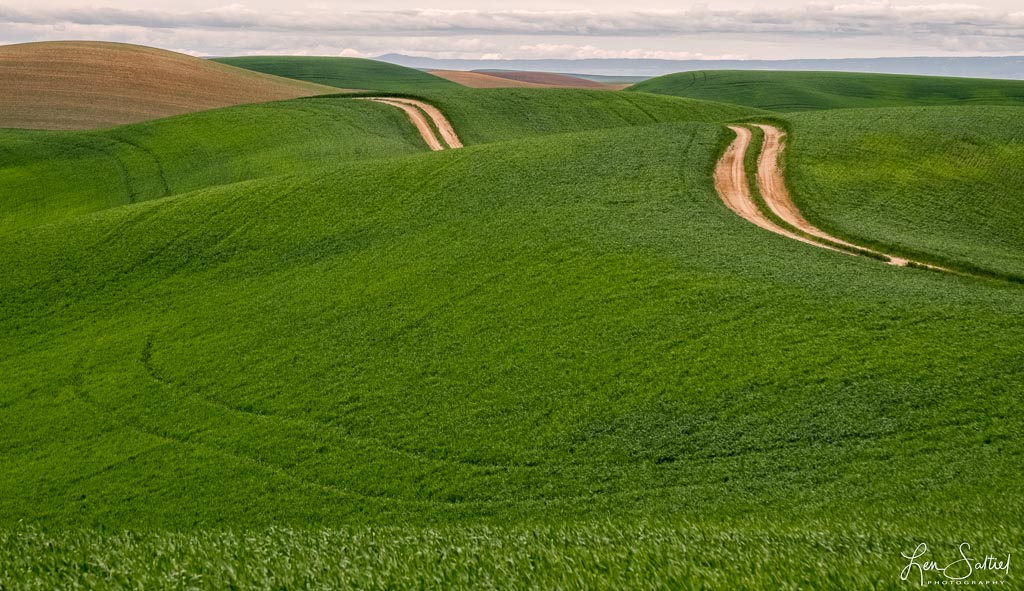 Undulating Road