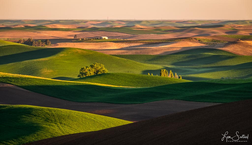 Palouse Glow