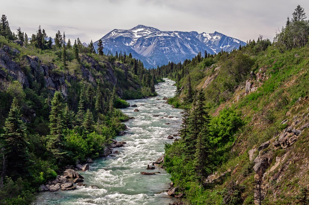 Tutshi River Canyon