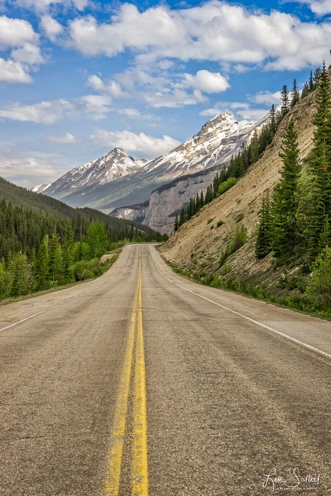 Road Beauty